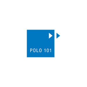 Polo 101